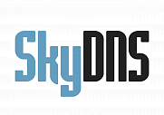 SkyDNS