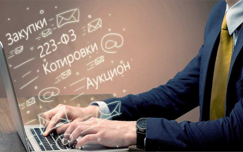 "Основы организации государственных закупок в РФ. Информация для руководителей  франчайзи 1С"